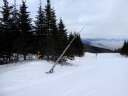 Snow lance in the Le Massif de Charlevoix ski area