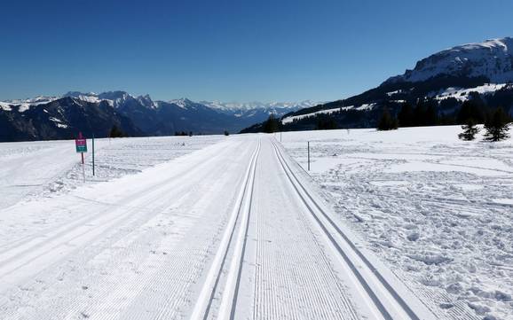 Cross-country skiing Heidiland – Cross-country skiing Flumserberg