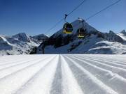 First-class grooming at Zehnerkar!