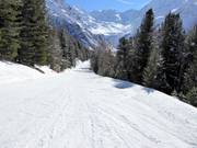 Connecting slope Kanzel-Seilbahn