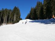 Intermediate slope at the chairlift