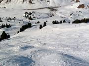 Mogul slope Ochsaköpf