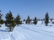 Cross-country trails in Idre Himmelfjäll
