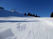 Intermediate slope Topolino