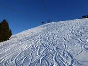 Ungroomed off-piste slopes in St. Johann in Tirol