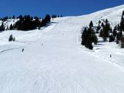 Wide slope No. 64 Bärenbadkogel 2