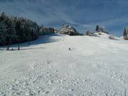 Black slope Postalm Standard