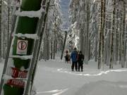 Pancíř vlek - T-bar