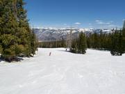 Downhill Upper Beaver Creek