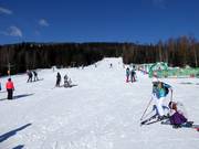 Practice slope Harmony