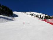 Black slope Torre di Pisa