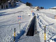 Conveyor belt Pardiel