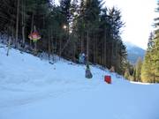Tip for children  - Märchenwald Vierschach fairy-tale forest
