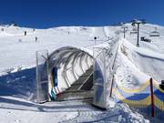 Almwiese - People mover/Moving Carpet with cover