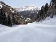 Challenging valley run from Ciampac to Alba