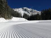 Groomed slope in Ramsau am Dachstein