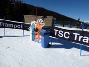 Trash cans can be found throughout the ski area.
