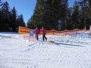 Tip for children  - Arber toboggan run