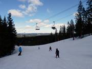 Easy slope Târnbakken