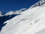 Endless powder snow slopes