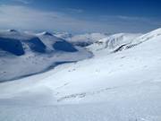 Untouched slopes await you when heliskiing