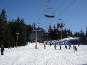 Beginner slope at Magic Chair