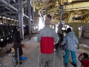 You are greeted warmly when boarding