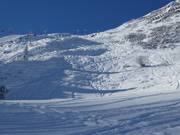 View of the Standard ski route