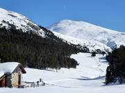 High-altitude trail "La Muntagnarda"