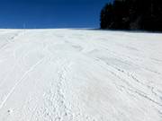 Magnificent "Autobahn"