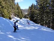 Easy slope Kleinlachtalweg