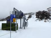 Blue Cow T-Bar - T-bar