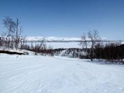 Easy slope in the lower area