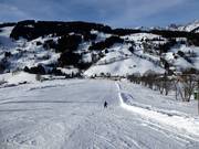 At Bründlstadl, there are flat, wide slopes.