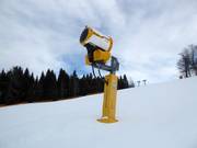 High-performance snow cannon at the Birken lifts