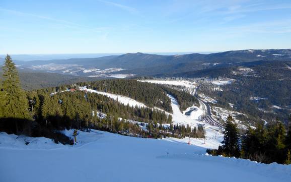 Zwieseler Winkel: size of the ski resorts – Size Arber