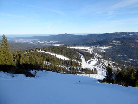 Regen: size of the ski resorts – Size Arber