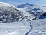 Wave run Myrkdalscrossen No. 12