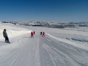 Simlene downhill run