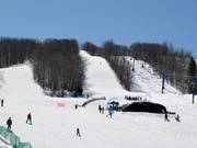 The slopes at Mont Blanc