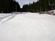 Beginner area at the valley station