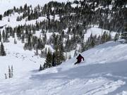 Steep slope at the Sugarloaf chairlift