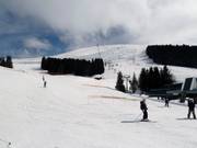 View of the slopes at Mont Joux