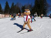 Bruno's Children's Ski Arena