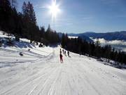 Easy ski trail Loser