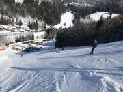 Lower part of the FIS World Cup slope 
