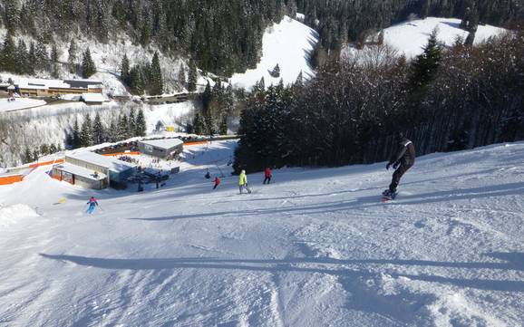 Ski resorts for advanced skiers and freeriding Breisgau-Hochschwarzwald – Advanced skiers, freeriders Feldberg – Seebuck/Grafenmatt/Fahl