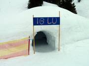 Tip for children  - Didi's Iglu