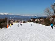 Very easy valley run Ski road №1