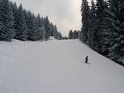 Fontaines downhill run